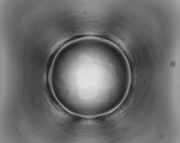 X0000090610299200707241112