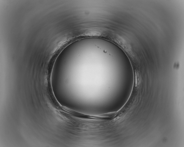 X0000090610300200707241112