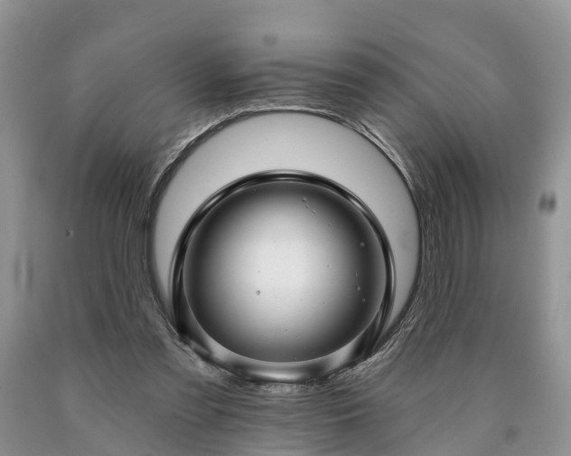 X0000090610301200707241112