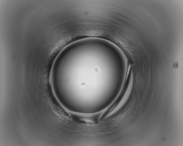 X0000090610303200707241112