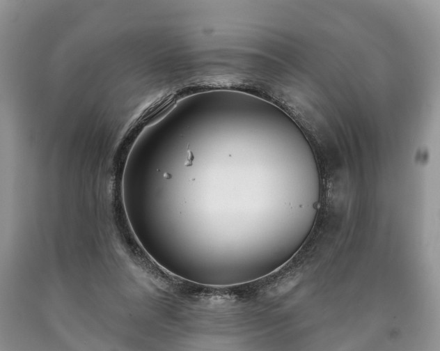 X0000090610304200707241112