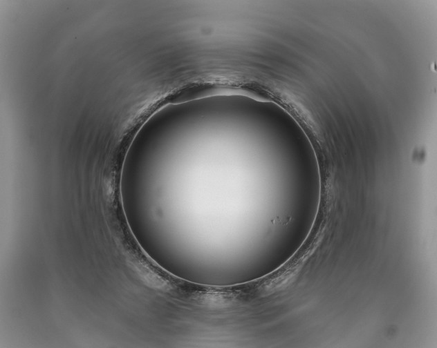 X0000090610305200707241112