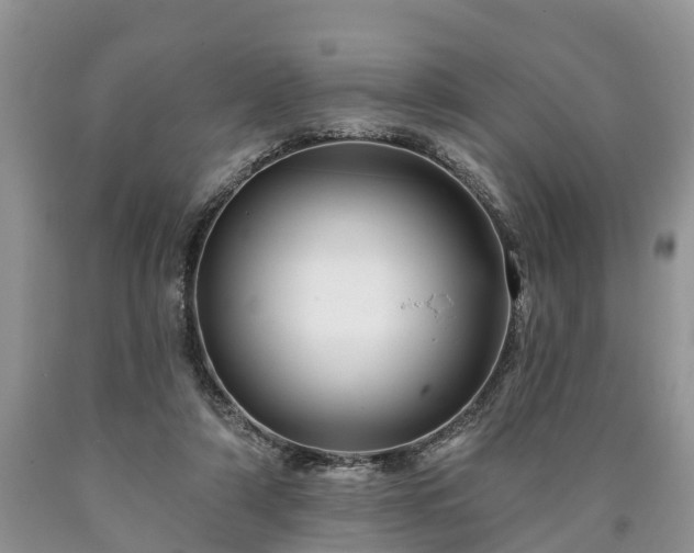 X0000090610306200707241112