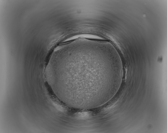 X0000090610307200707241112