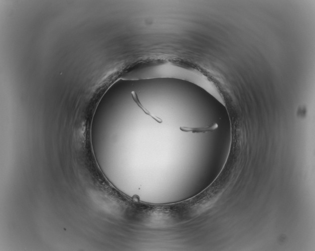 X0000090610308200707241112