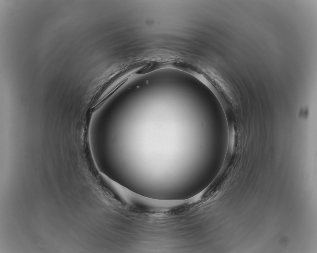 X0000090610309200707241112