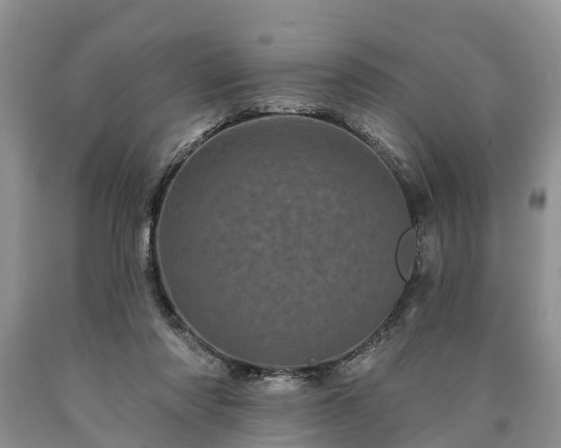 X0000090610310200707241112