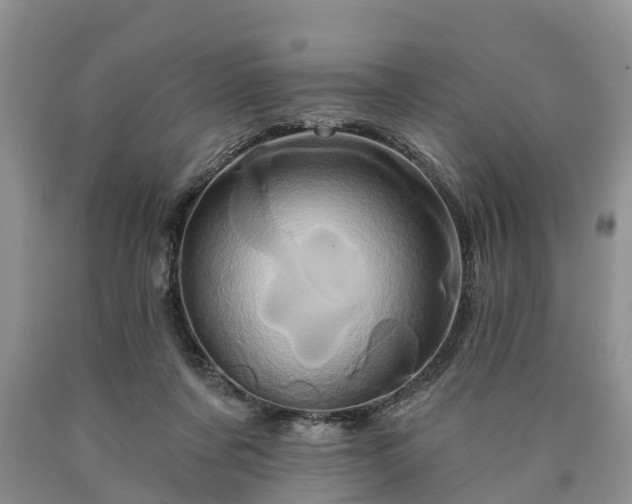 X0000090610311200707241112