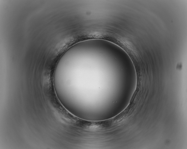 X0000090610312200707241112