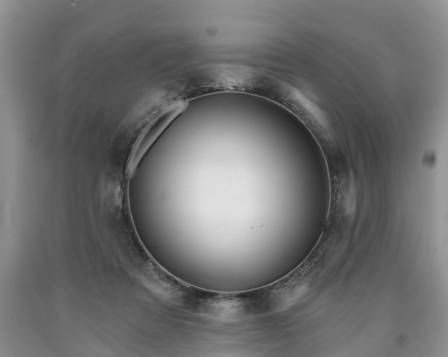 X0000090610313200707241112