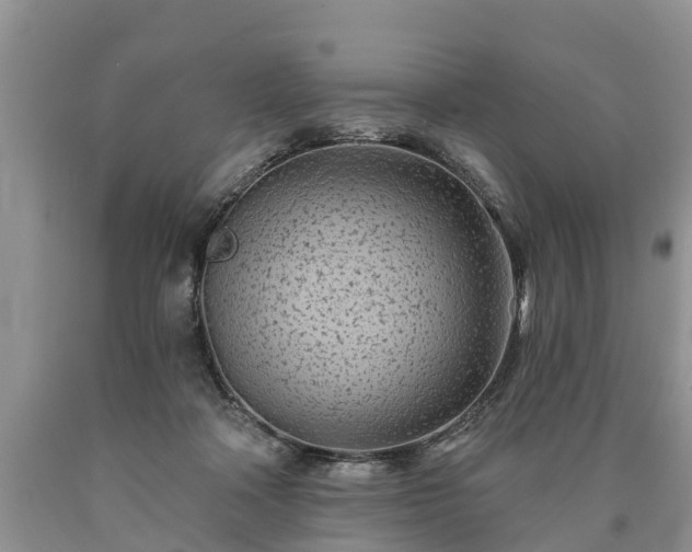 X0000090610314200707241112