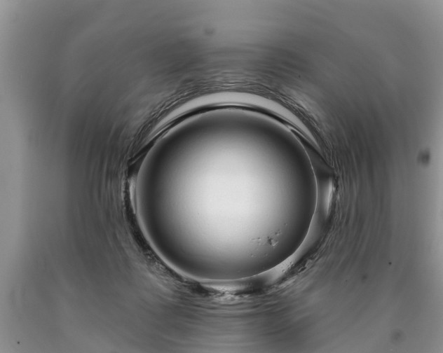 X0000090610315200707241112