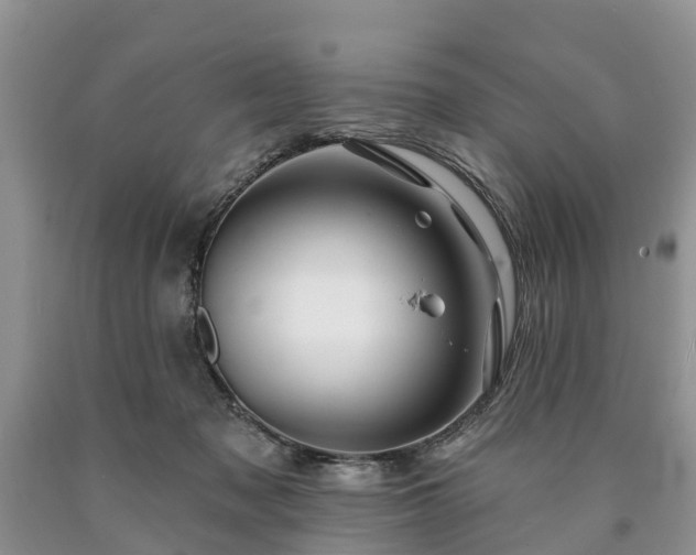 X0000090610317200707241112