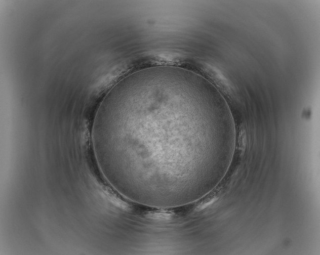 X0000090610318200707241112