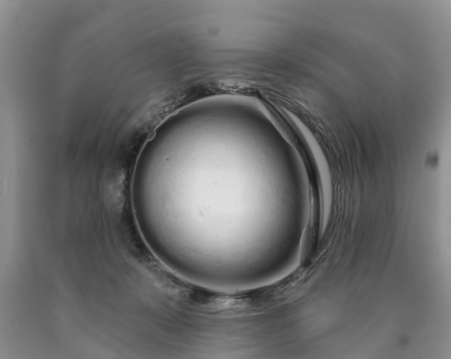 X0000090610319200707241112