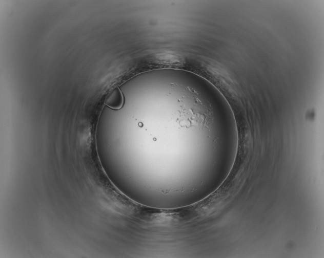 X0000090610320200707241112