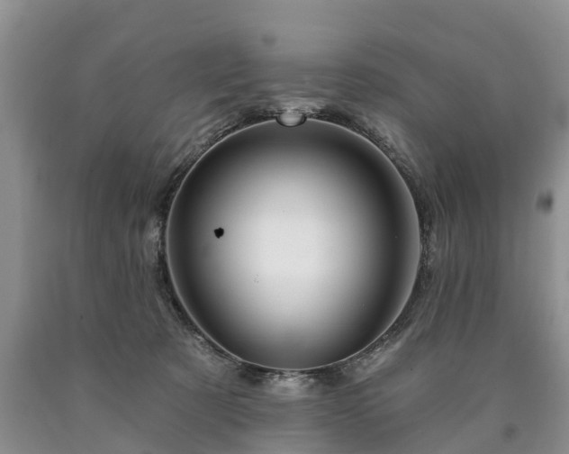 X0000090610321200707241112