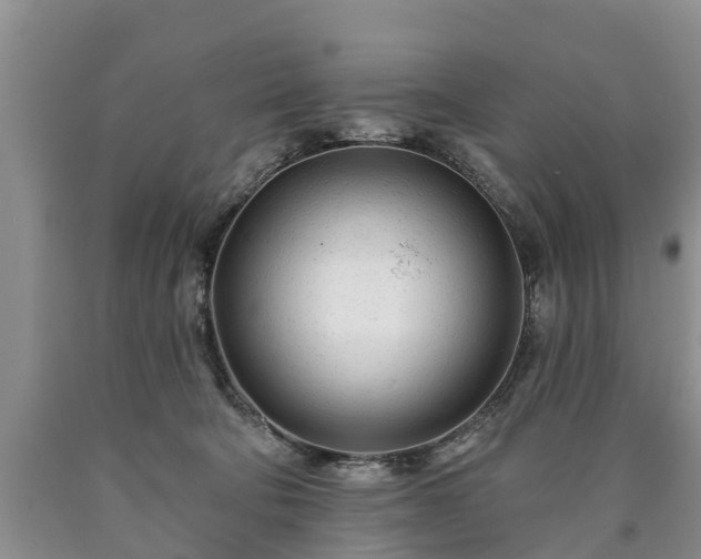 X0000090610322200707241112