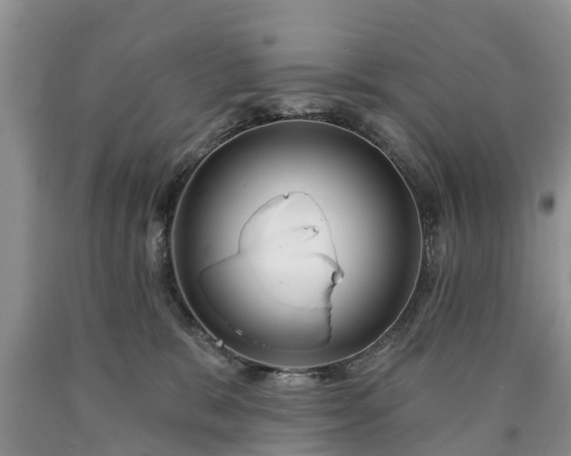 X0000090610327200707241112