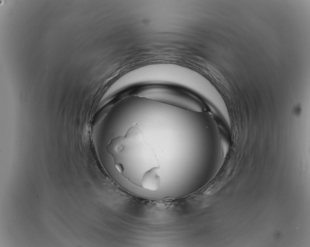 X0000090610329200707241112