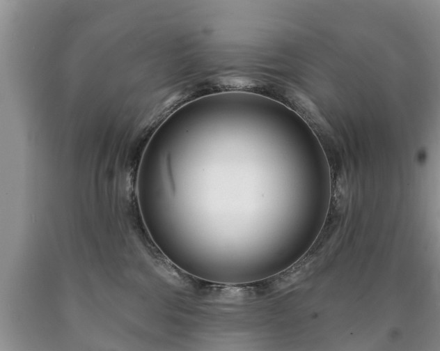 X0000090610330200707241112