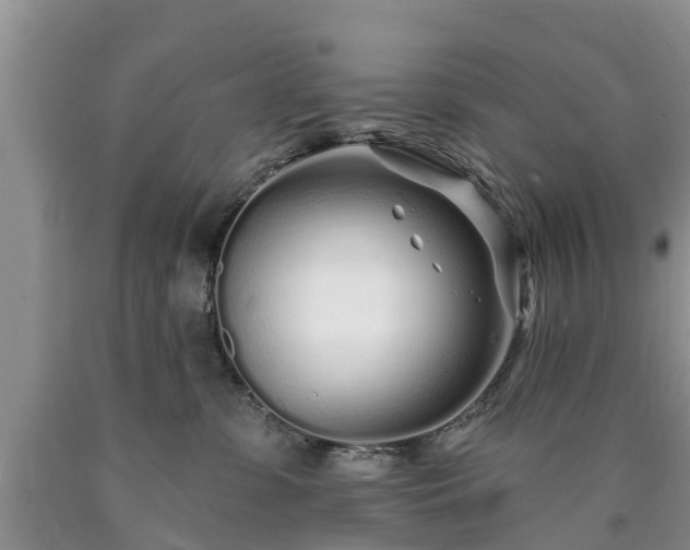 X0000090610331200707241112