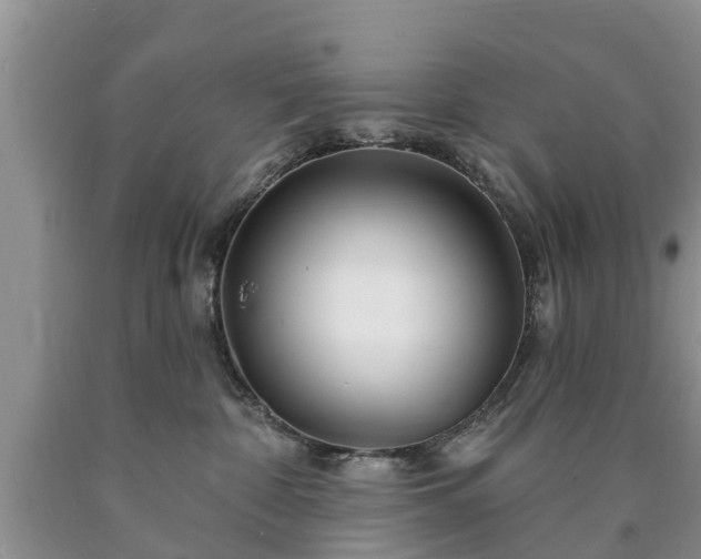 X0000090610332200707241112