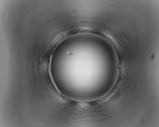 X0000090610333200707241112