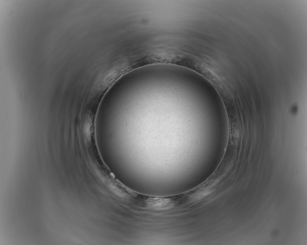 X0000090610334200707241112