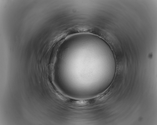 X0000090610335200707241112