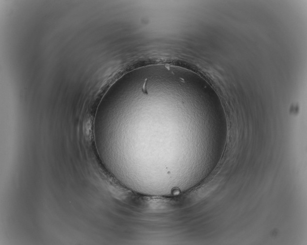 X0000090610336200707241112