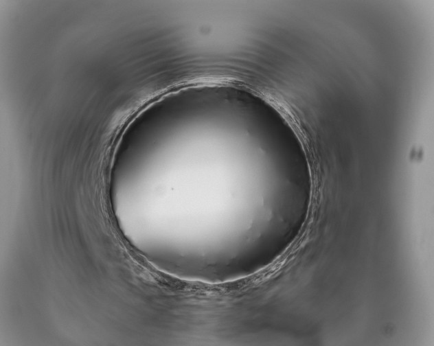 X0000090610337200707241111