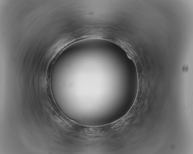 X0000090610338200707241111