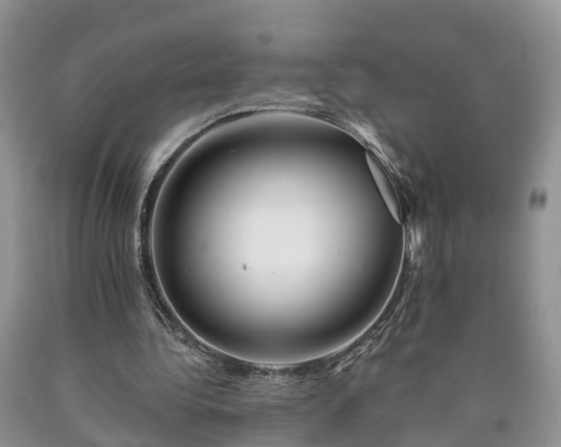 X0000090610340200707241111