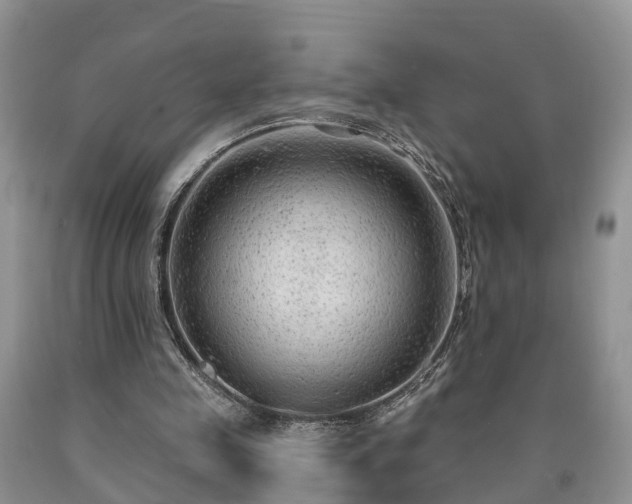 X0000090610341200707241111