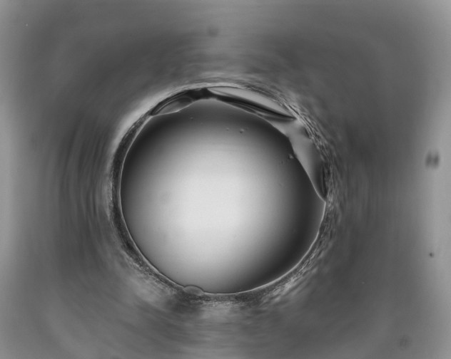 X0000090610342200707241111