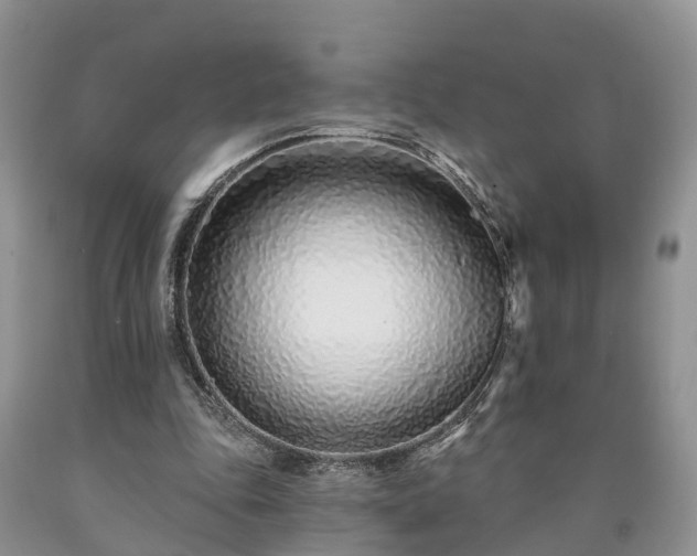 X0000090610343200707241111