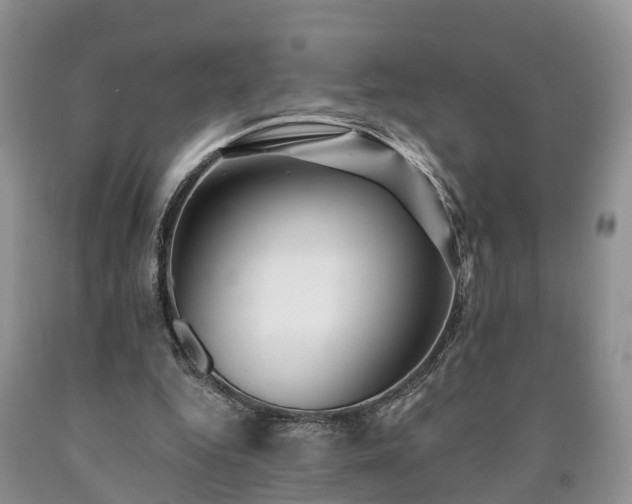 X0000090610344200707241111