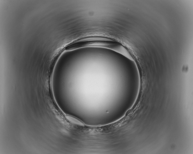 X0000090610345200707241111