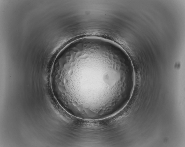 X0000090610347200707241111