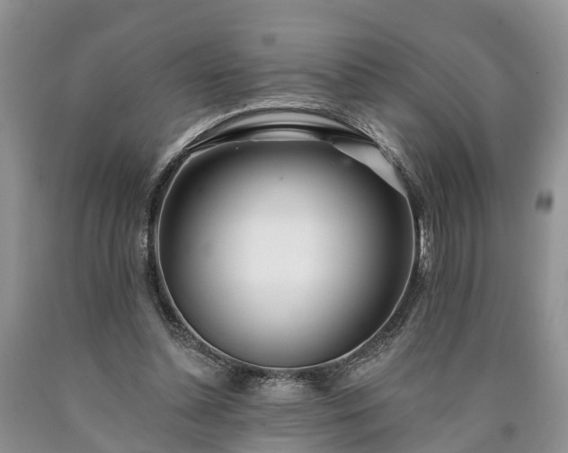 X0000090610348200707241111