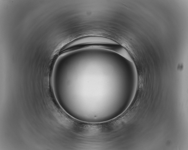 X0000090610349200707241111