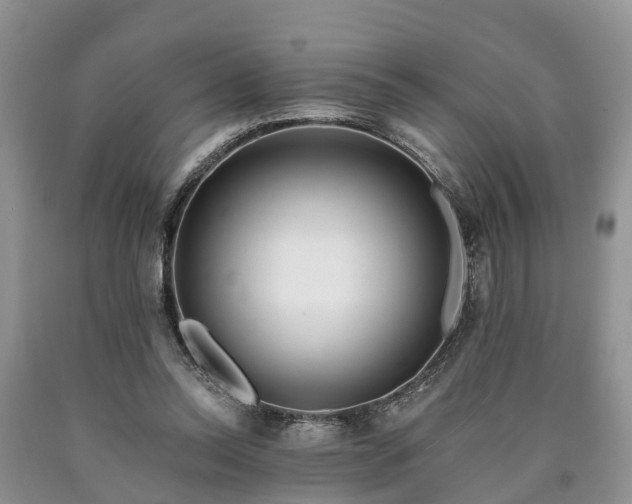 X0000090610350200707241111