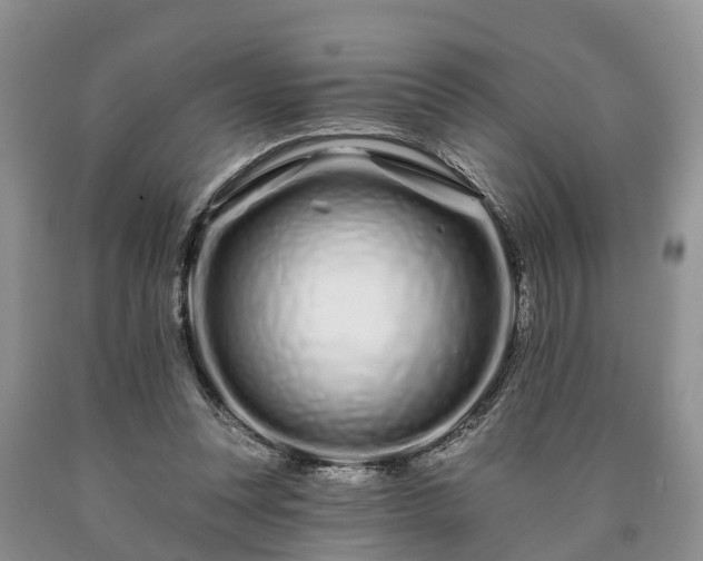 X0000090610351200707241111