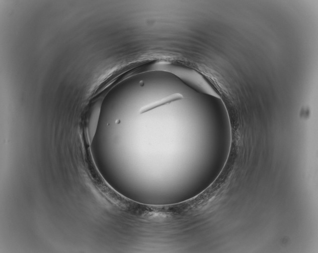 X0000090610352200707241111