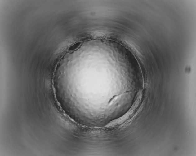 X0000090610353200707241111