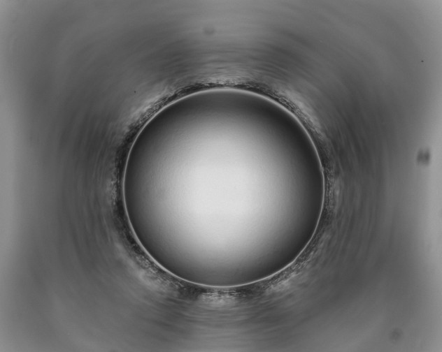 X0000090610354200707241111