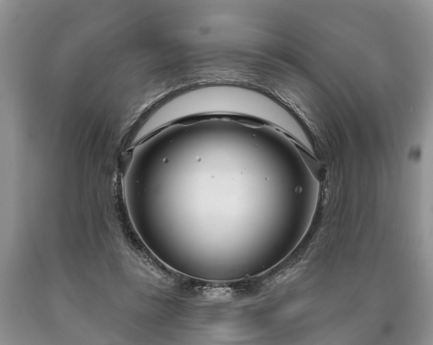 X0000090610355200707241111