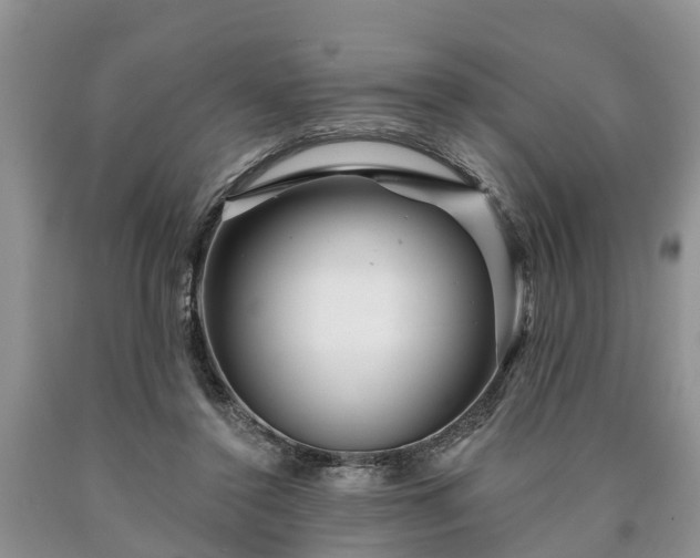 X0000090610356200707241111