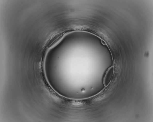 X0000090610357200707241111